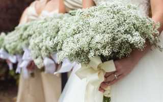Свадебный букет невесты из полевых цветов: разновидности и особенности выбора