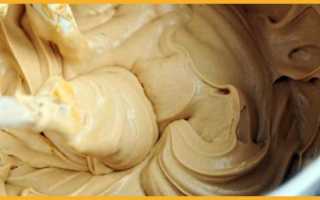 Лучший крем для наполеона с сгущенкой. Как приготовить самый простой крем для торта из сметаны и сгущенки. Крем со сметаной, сгущенкой и желатином.