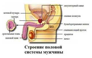 Мужские слабости – то, что скрыто за железной стеной