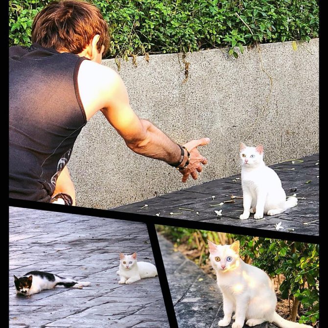 Александр Шепс: биография, личная жизнь, семья