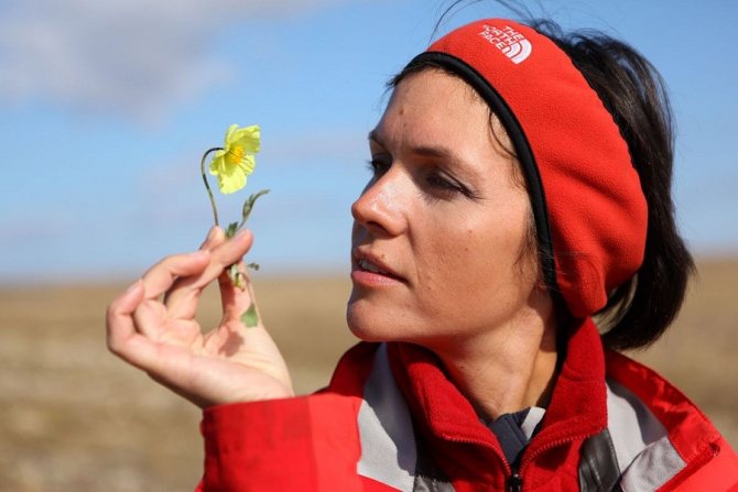 Анастасия Чернобровина