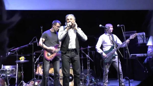 Анатолий Алешин на концерте