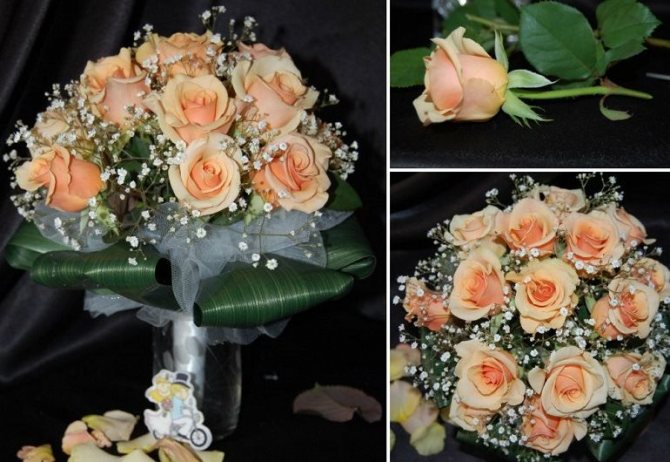 Букет из роз и гипсофилы