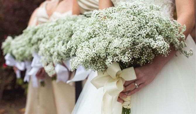 Букет невесты с гипсофилой