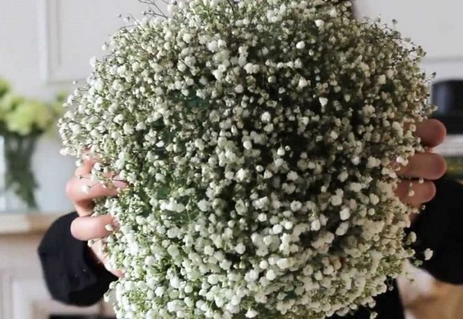 Букет-помандер с гипсофилой
