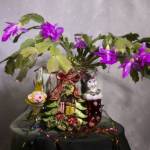 букет зимой фото