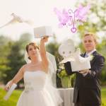 Голуби на свадьбу