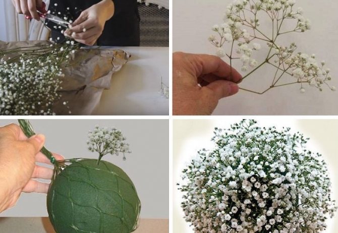 Моно-облако с гипсофилой