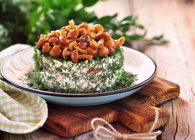 Описание: https://avatars.mds.yandex.net/get-pdb/477388/b7700575-d171-460a-afcc-7be08272f245/s1200