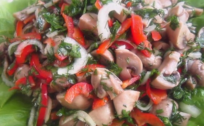 Описание: https://my-izumrud.ru/wp-content/uploads/2019/03/maxresdefault-5-1024x576.jpg