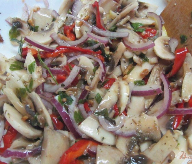 Описание: https://vpuzo.com/uploads/picture/1600/0/2016-12/1482239288_img_9089.jpg